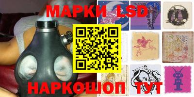 дмт Донской