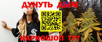 дмт Донской
