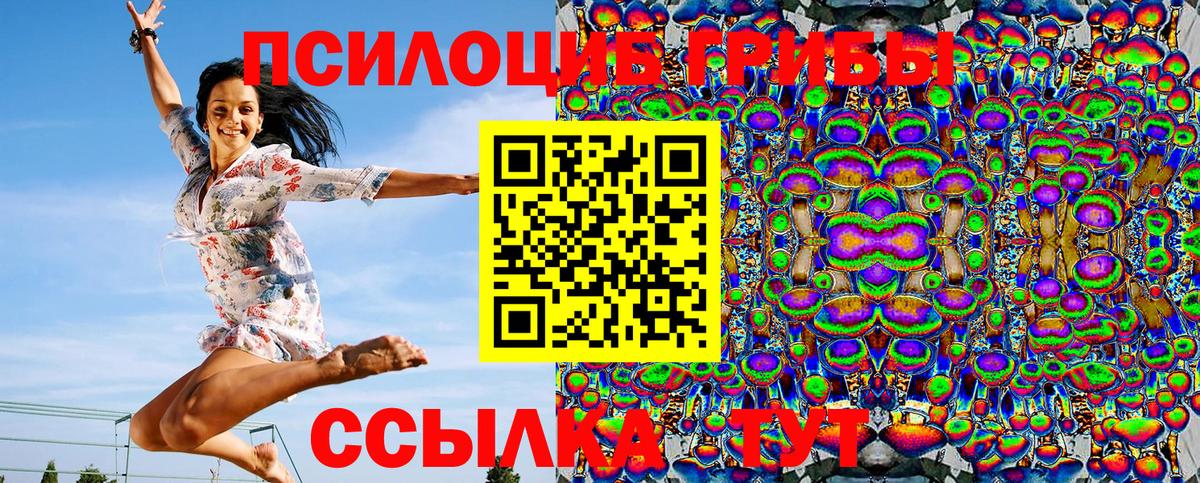 Галлюциногенные грибы Psilocybe Назарово